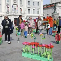 Cvetoči Tartinijev trg navdu&scaron;il obiskovalce (FOTO+VIDEO)