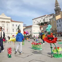 Cvetoči Tartinijev trg navdu&scaron;il obiskovalce (FOTO+VIDEO)