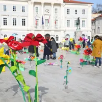 Cvetoči Tartinijev trg navdu&scaron;il obiskovalce (FOTO+VIDEO)