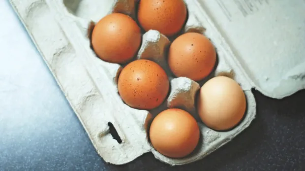Za zadovoljitev dnevnih potreb po vitaminu D3 bi morali vsak dan 
pojesti do 60 jajc.