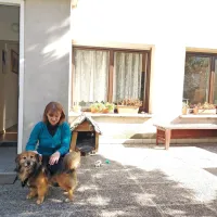 Strokovni delavki Luciji Božič in uporabnikom  zavetišča družbo dela tudi prijazni čuvaj Ron.