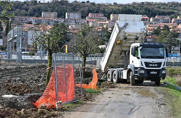 Mestna občina Koper je z območja parkirišča Za Barko, kjer 
pripravlja gradbišče za novi zdravstveni center, rešila vseh 37 
zimzelenih hrastov.