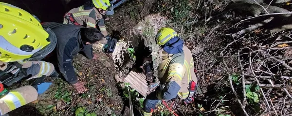 Reševanje konja Malina iz ozkega brezna je bilo sprva videti kot 
misija nemogoče.
