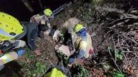 Reševanje konja Malina iz ozkega brezna je bilo sprva videti kot 
misija nemogoče.