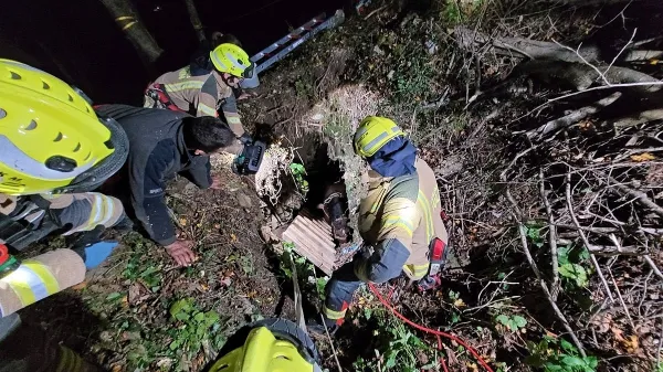 Reševanje konja Malina iz ozkega brezna je bilo sprva videti kot 
misija nemogoče.