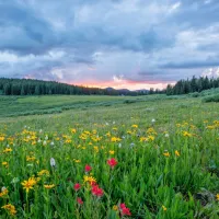 Narava vabi k sprehodom, žal pa so znova aktivni tudi klopi.