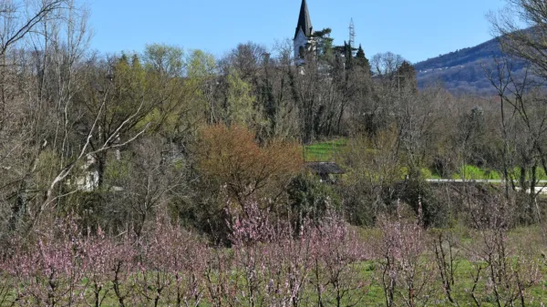Včerajšnje nizke temperature so zlasti na izpostavljenih legah v 
spodnji Vipavski dolini povzročile pozebo.