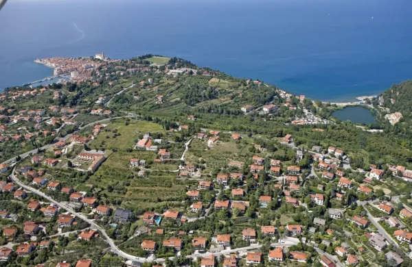 Odlok, ki ga je ustavno sodišče razveljavilo že leta 2021, bo omogočil pozidavo nad Belokriško cesto na Belem Križu nad Portorožem. 