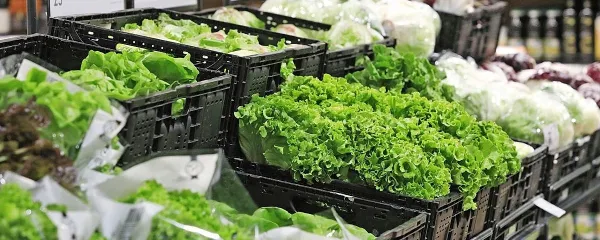 Premalo vlaknin povzroči zapiranje odprtine proti slepiču, ki je 
mesto, kjer rastejo koristne bakterije, in poveča možnost za vnetje 
slepiča.