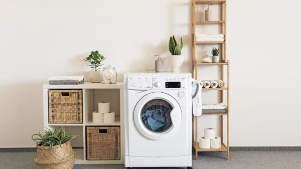 Če pralnega stroja  ne vzdržujemo  redno, lahko postane pravo 
gojišče plesni in bakterij.