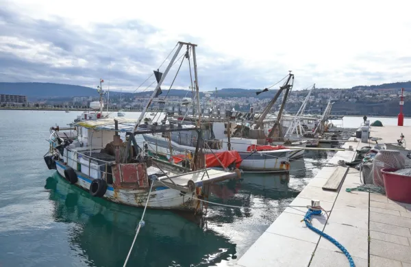 Objavljen poziv za prijavo k ribolovu orad in drugih vrst rib