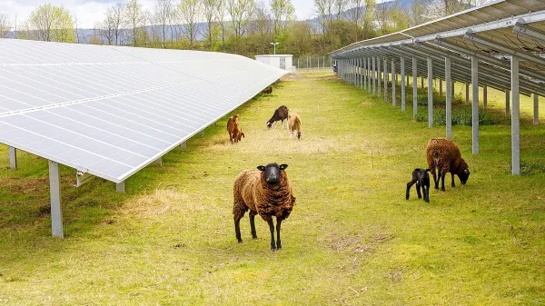 V Sloveniji je po navedbah ministrstva skupnega potenciala za 
umeščanja fotovoltaičnih in agrofotovoltaičnih naprav na kmetijskih zemljišč več kot 131.000 hektarjev, kar predstavlja 22 
odstotkov vseh kmetijskih zemljišč v državi.   