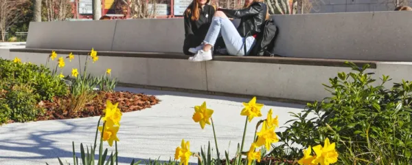 Potrebujemo pomladne zaobljube, ne novoletnih