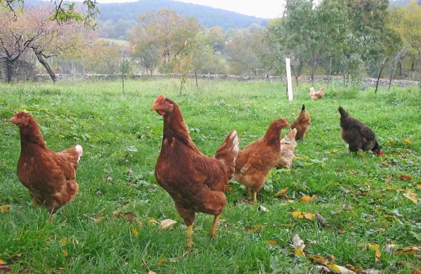 Fotografija je simbolična