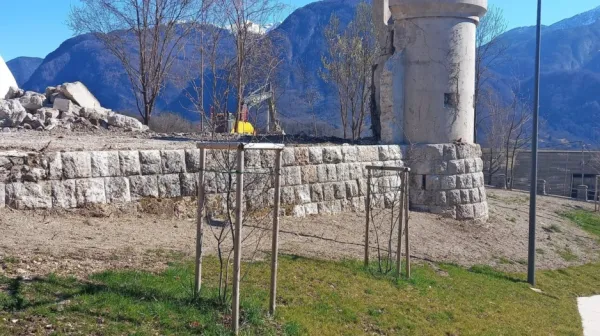 Nekatere domačine je odstranitev stolpa razburila, statično poročilo je razkrilo, da je bil nevaren.  