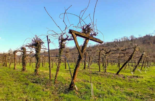 Pomlad je tu,  april pa bo kmalu upravičil svoj sloves.