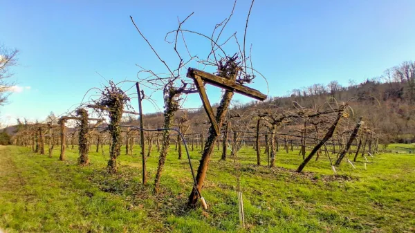 Pomlad je tu,  april pa bo kmalu upravičil svoj sloves.