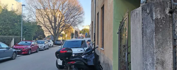 Vodnjanka je del razširjene Morisove družine.