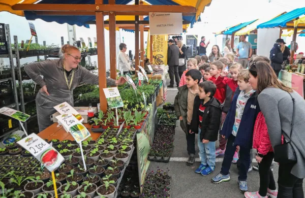 Veliki povratek Primorskega sejma