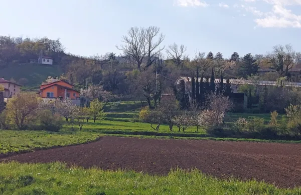 Občina Vipava v Mančah načrtuje novo stanovanjsko sosesko Nad 
vinogradi.
