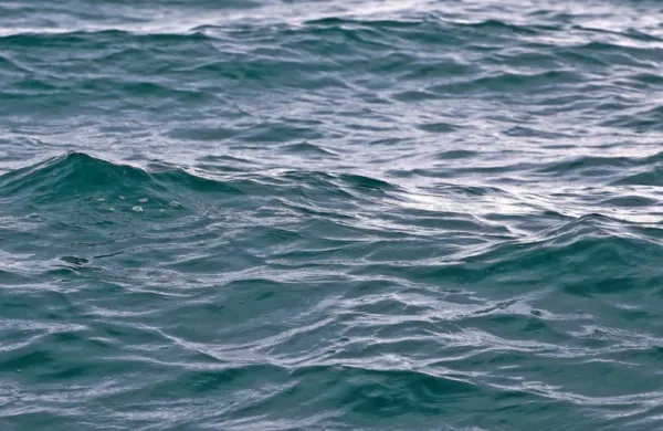 V morju na&scaron;li truplo