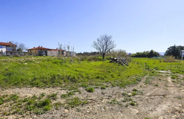 To je zdajšnji pogled na Hojsove parcele na Kolombanu. 