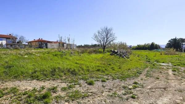 To je zdajšnji pogled na Hojsove parcele na Kolombanu. 