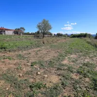 Pred petimi leti so bila zemljišča, o katerih pišemo, v podobnem 
stanju.