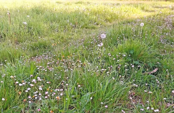 Konec tedna bo na Primorskem znova bolj sončno.