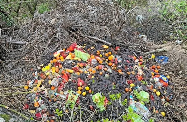   Vonj po fermentaciji nas je hitro pripeljal do divjega odlagališča. 
Najprej smo opazili kupe odvrženega sadja, pod vejevjem pa 
različno belo tehniko, plastiko, gume in podobne odpadke.
