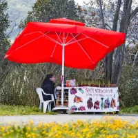 Letos  so  na eni  strani  ceste  prodajalci  stojnico  postavili  ob rob  
ceste in  ne na  običajno lokacijo (za zdaj). 