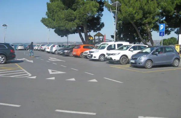  Arboristična študija je pokazala, da je pet od osmih dreves  v tako 
slabem stanju, da jih je treba odstraniti in na njihovo mesto 
zasaditi nova. 