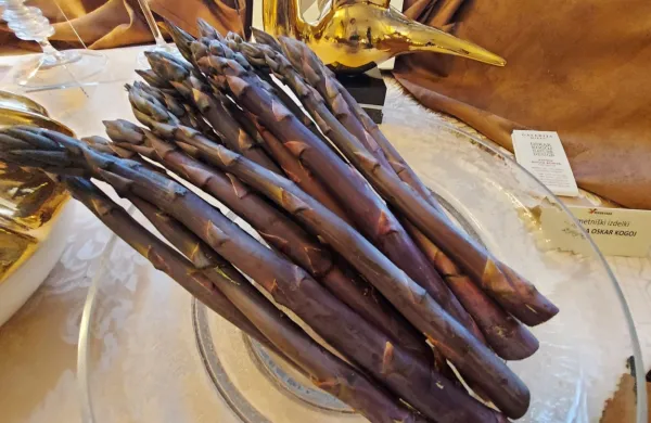 Posebnost so vijolični šparglji, ki so bolj sladkega okusa, so pa tudi 
bolj občutljivi za pridelavo.  