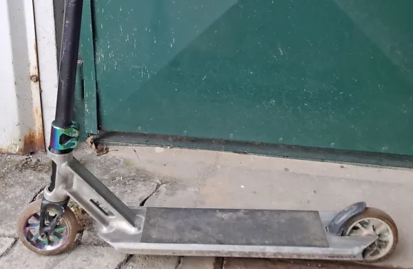 V Spodnji Idriji na&scaron;li zapu&scaron;čena otro&scaron;ka skiroja. Kdo ju pogre&scaron;a?