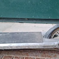 V Spodnji Idriji na&scaron;li zapu&scaron;čena otro&scaron;ka skiroja. Kdo ju pogre&scaron;a?