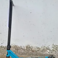 V Spodnji Idriji na&scaron;li zapu&scaron;čena otro&scaron;ka skiroja. Kdo ju pogre&scaron;a?