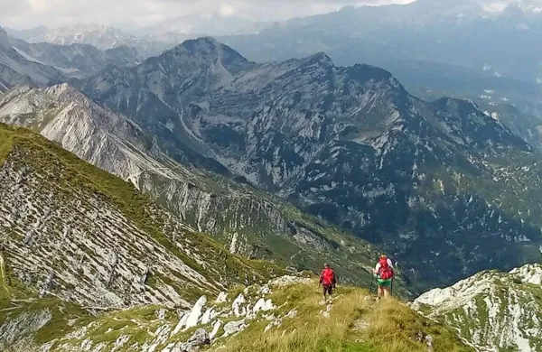 Aplikacija Planinske zveze Slovenije  maPZS omogoča lažje načrtovanje izletov in orientacijo na terenu.