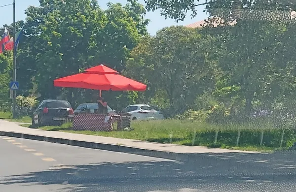 Tudi v Ankaranu so na stojnici ob cesti prodajali jagode in šparglje 
brez dovoljenja.
