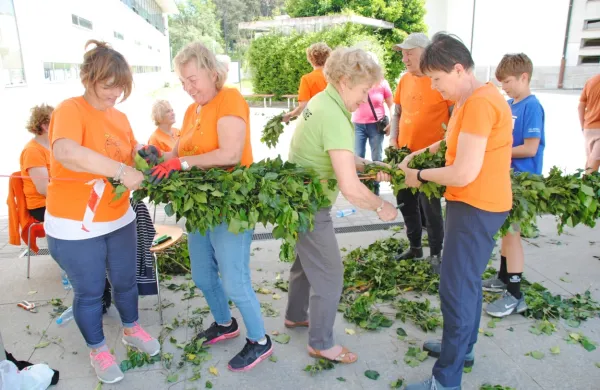 Članice Aktiva mestnih žena in deklet Goričanke in društva Šola 
zdravja so danes pletle bršljanovo kito za praznični mlaj. 