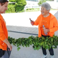 Goričanke in članice društva Šola zdravja so spletle 50 metrov dolgo bršljanovo kito za praznični mlaj