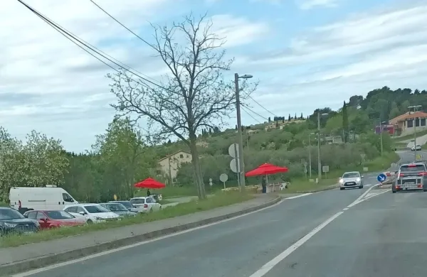 Na  Belvederju  so  minuli konec  tedna  prodajalci  sadja   okrepili 
svoje  vrste  in    postavili  dodatno  stojnico.  