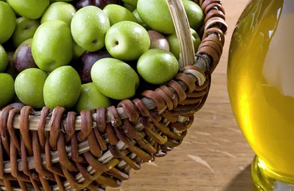 V projekt Oleum Spec, v katerem strokovnjaki razvijajo prvi 
italijanski elektronski nos za senzorično analizo oljčnega olja, so 
vključeni tudi slovenski kolegi iz Znanstveno-raziskovalnega središča Koper.