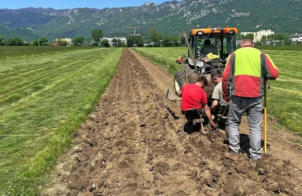  Sadnjo 15-kilometrskega zelenega protivetrnega pasu morajo 
zaključiti do konca maja. 