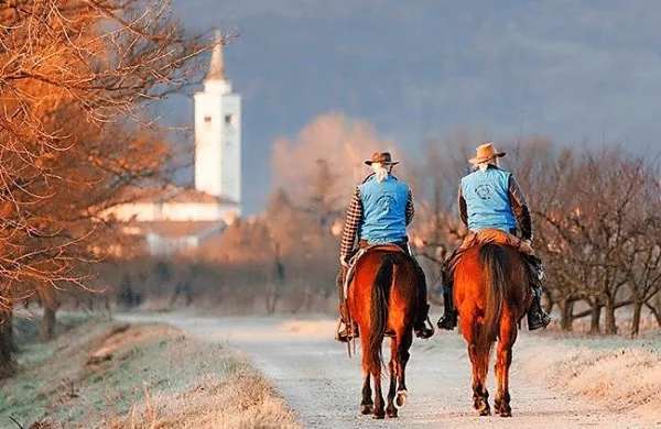 Konjeniška pot je povezala Trnovsko-Banjško planoto, Vipavsko 
dolino in Kras.