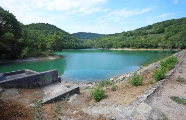 V Vanganelskem jezeru je vode dovolj, vendar v vseh teh letih niso 
uredili namakalnega sistema in potrebnih dovoljenj.