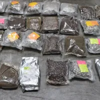 Polfermentiran čaj je skoraj enak kot posušeni delci prepovedane 
konoplje.