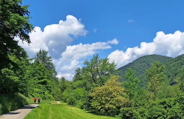 Udeležence sobotnega tradicionalnega pohoda po Kosmačevi učni 
poti od Dolenje Trebuše do Tolmina še nobena vremenska 
napoved ni odvrnila od vsakoletnega druženja ob slikoviti pokrajini. 