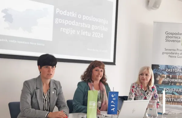Ključne kazalnike gospodarstva v goriški regiji za leto 2024 so 
predstavile Brigita Habjan Štolfa, Darja Bremec Gadnik in Vesna 
Petric Uran.  