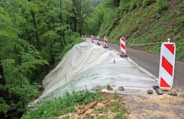 V morfološko labilni občini Cerkno s približno 200 evidentiranimi in sto aktivnimi plazovi se je ob nedavnih 
poplavah sprožilo 18 novih plazov.