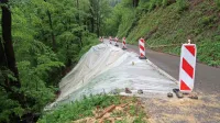 V morfološko labilni občini Cerkno s približno 200 evidentiranimi in sto aktivnimi plazovi se je ob nedavnih 
poplavah sprožilo 18 novih plazov.